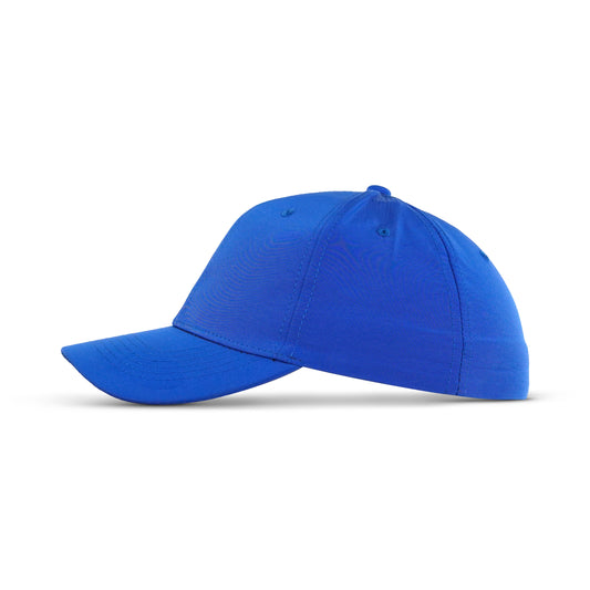 Classic Blue Fitted P-Cap