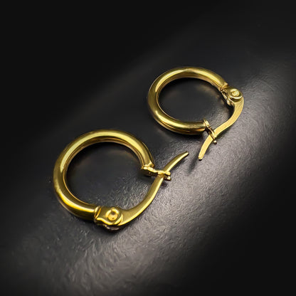 French Locking Hoops Earrings